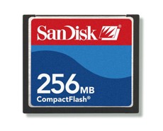 Compact Flash Card 256MB
